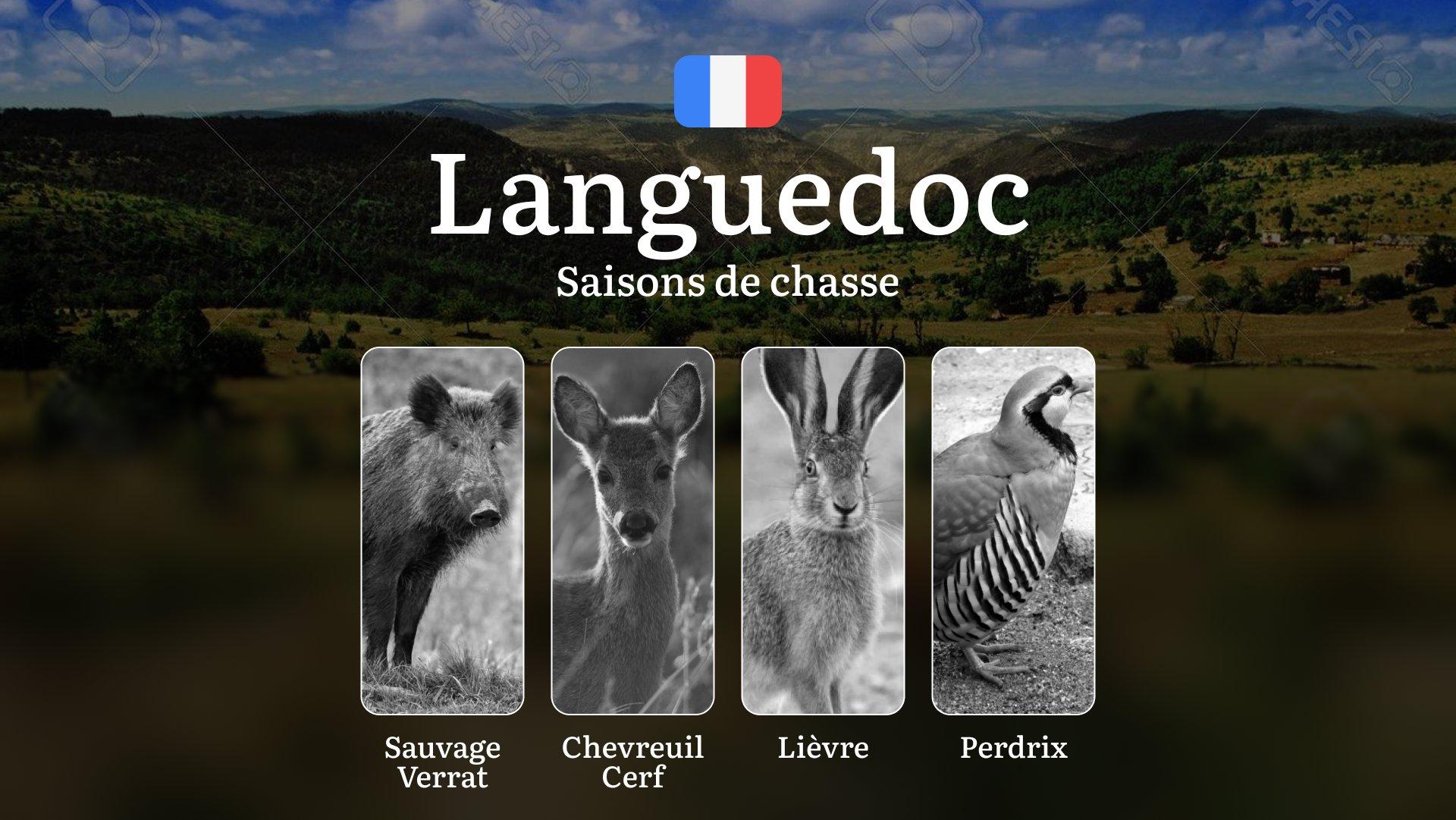 Saisons de Chasse en LANGUEDOC: Dates d'Ouverture et Fermeture,  Règles Générales, Permis Obligatoires et Conseils Pratiques