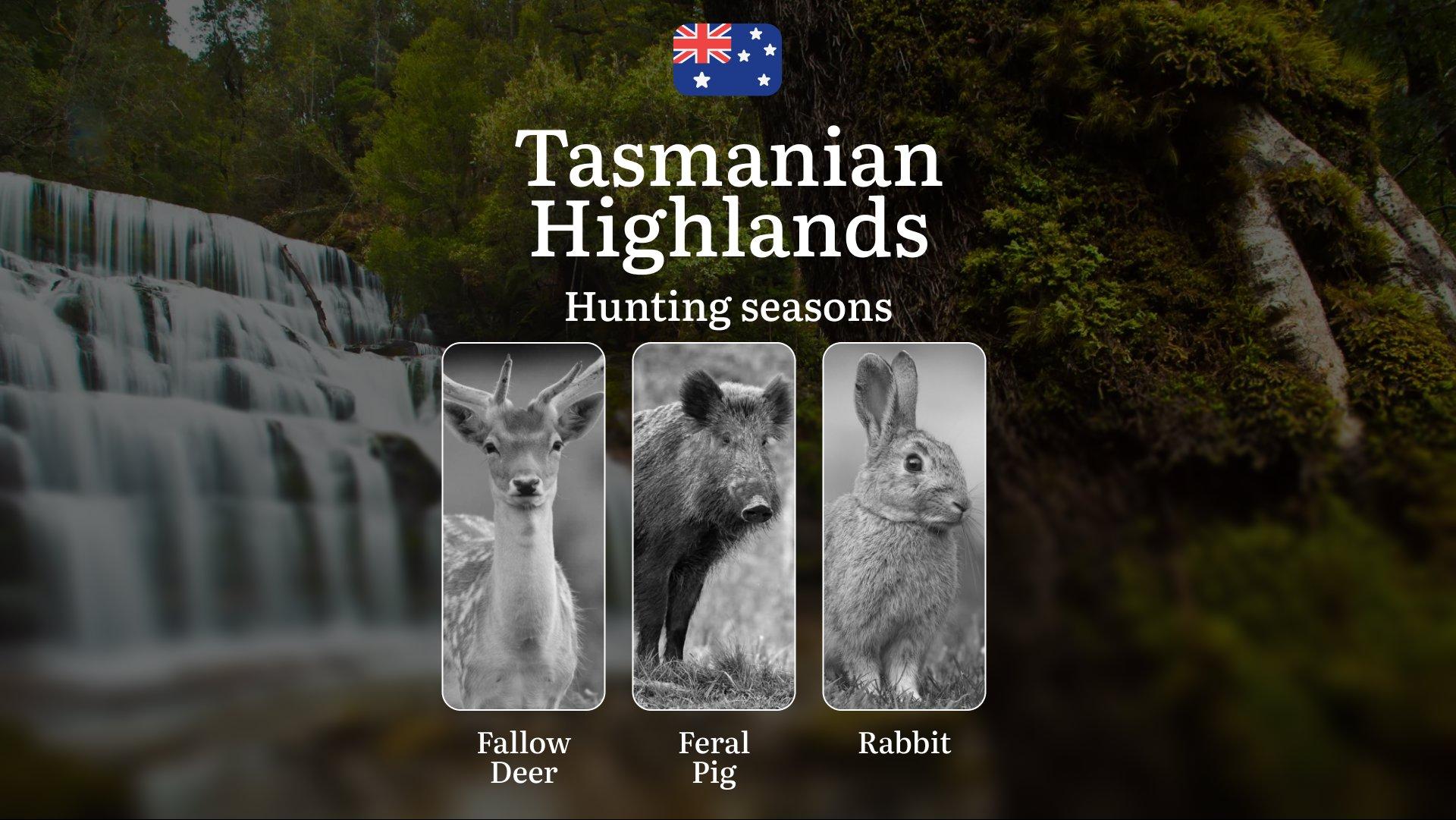 Tasmanian Highlands Hunting Calendar: When the Alpine Wilderness Calls - Fallow Deer, Wallaby and Mountain Pursuits