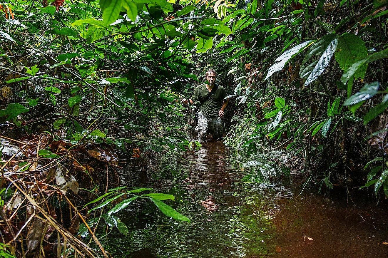 Hunting in Pointe-Noire: Coastal Ecosystems, Urban-Rural Hunting Demographics, and Game Access