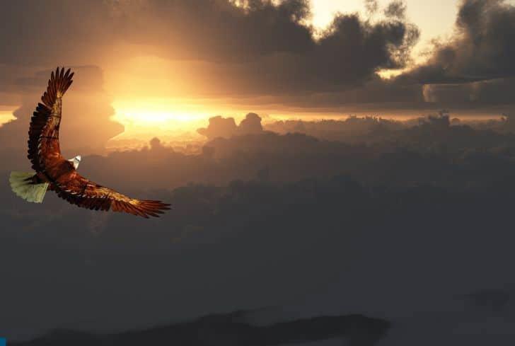 Hunting Up Above the Clouds