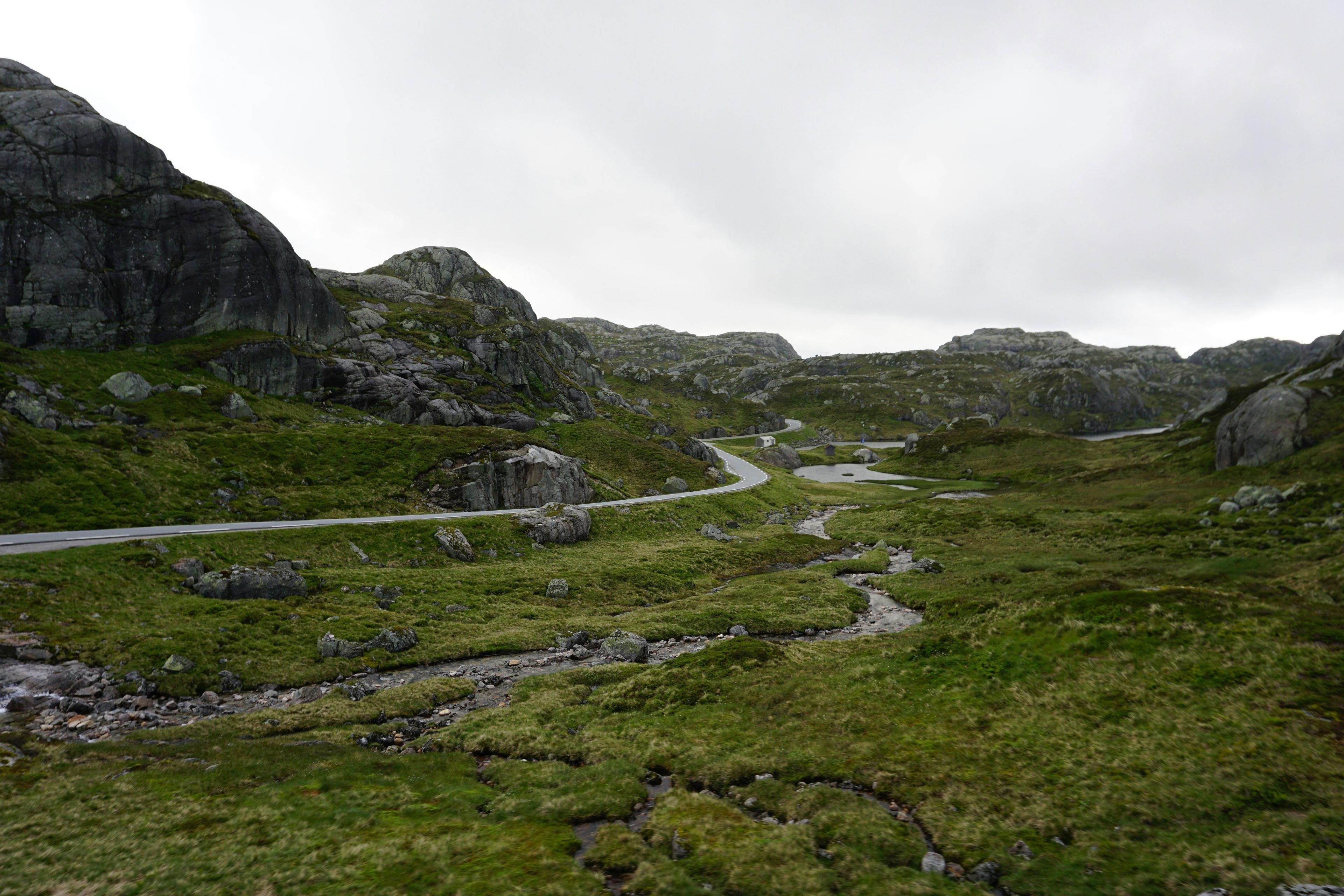 Røros Hunting Traditions: A Blend of Culture and Wilderness.
