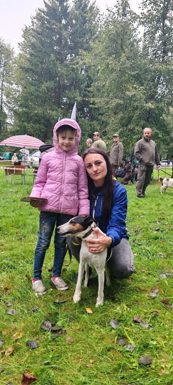 38-я Гродненская областная выставка охотничьих собак в Вороново: белорусский гончак, породы, чемпионы и будущее охотничьего собаководства