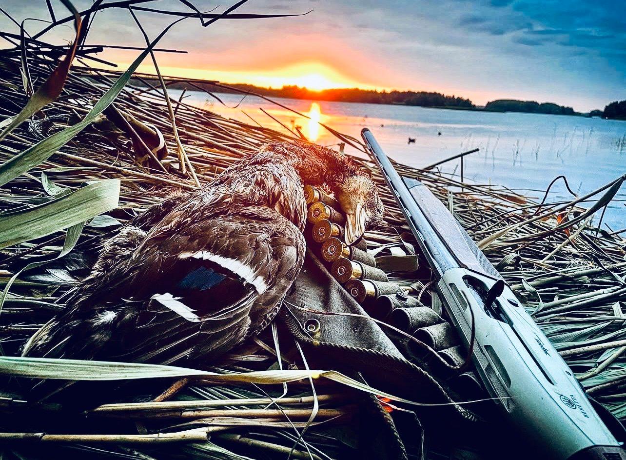 Finding Your Perfect Beretta Shotgun: The Hunter's Guide to the Best Beretta Shotguns for Hunting
