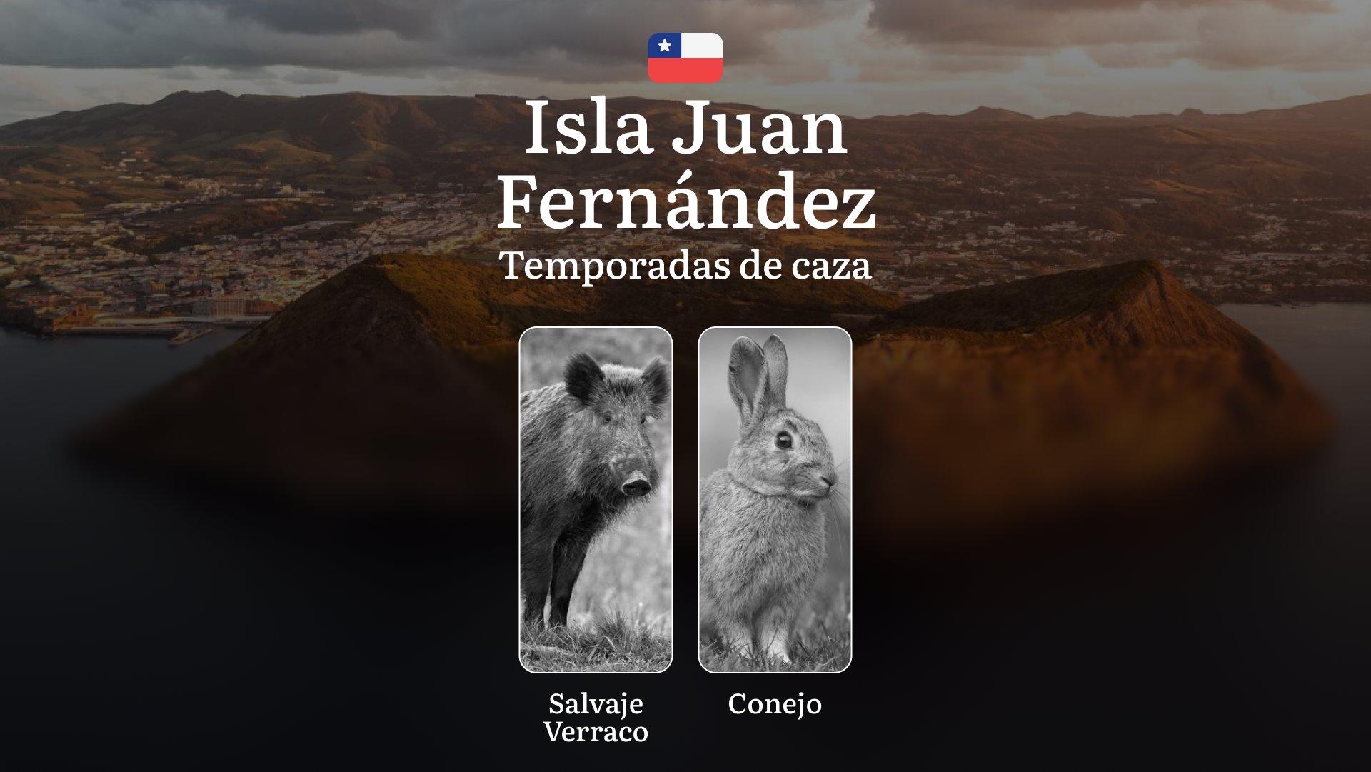 Temporadas de caza en la Isla Juan Fernández: fechas y normas de caza, prohibiciones y restricciones, consejos sobre tácticas y equipamiento