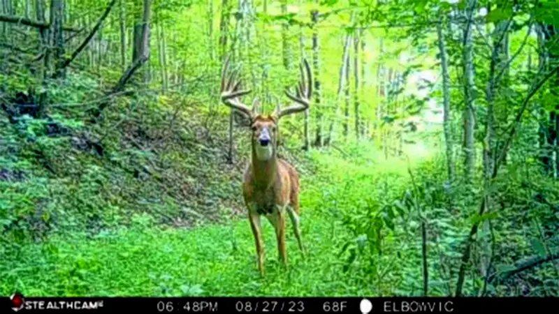 New York Hunter Gets a Second Chance on This 180-Inch Buck
