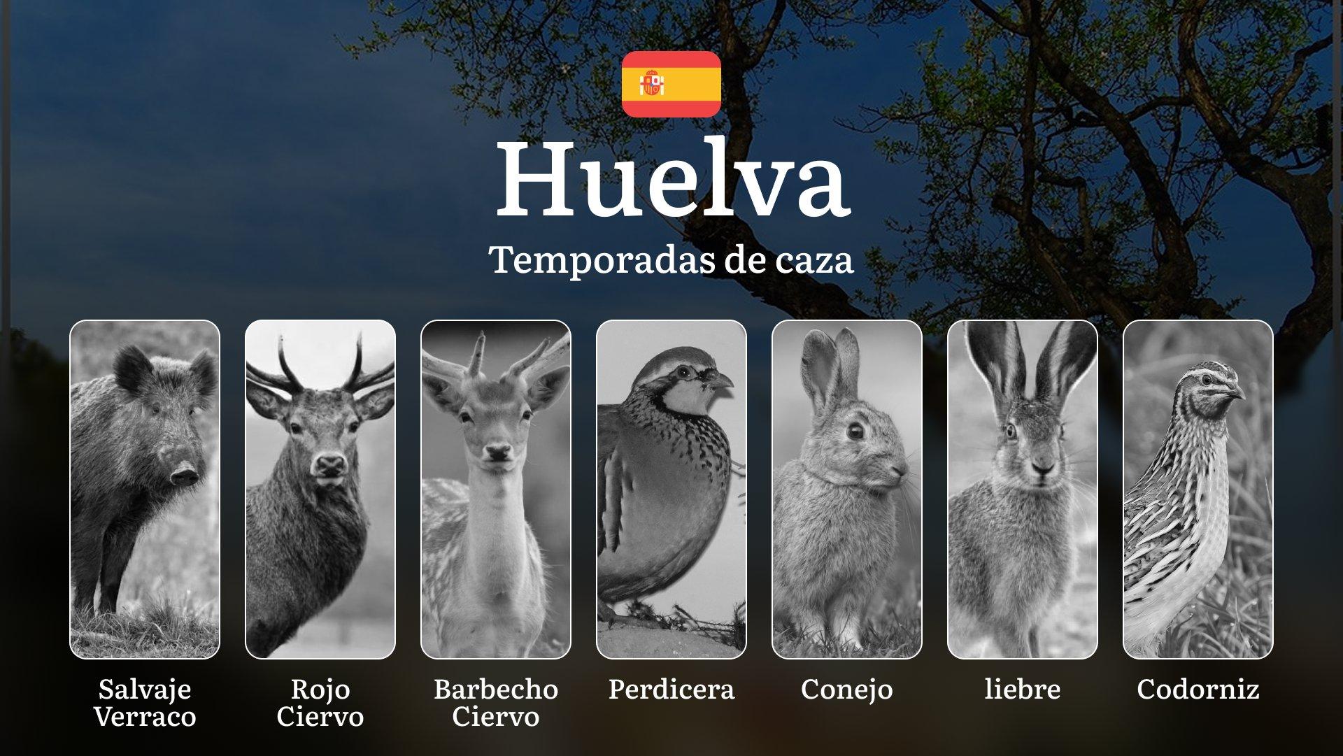 Caza en HUELVA: Temporadas y períodos de caza, Normativas Andaluzas y Proceso para Obtener Licencias