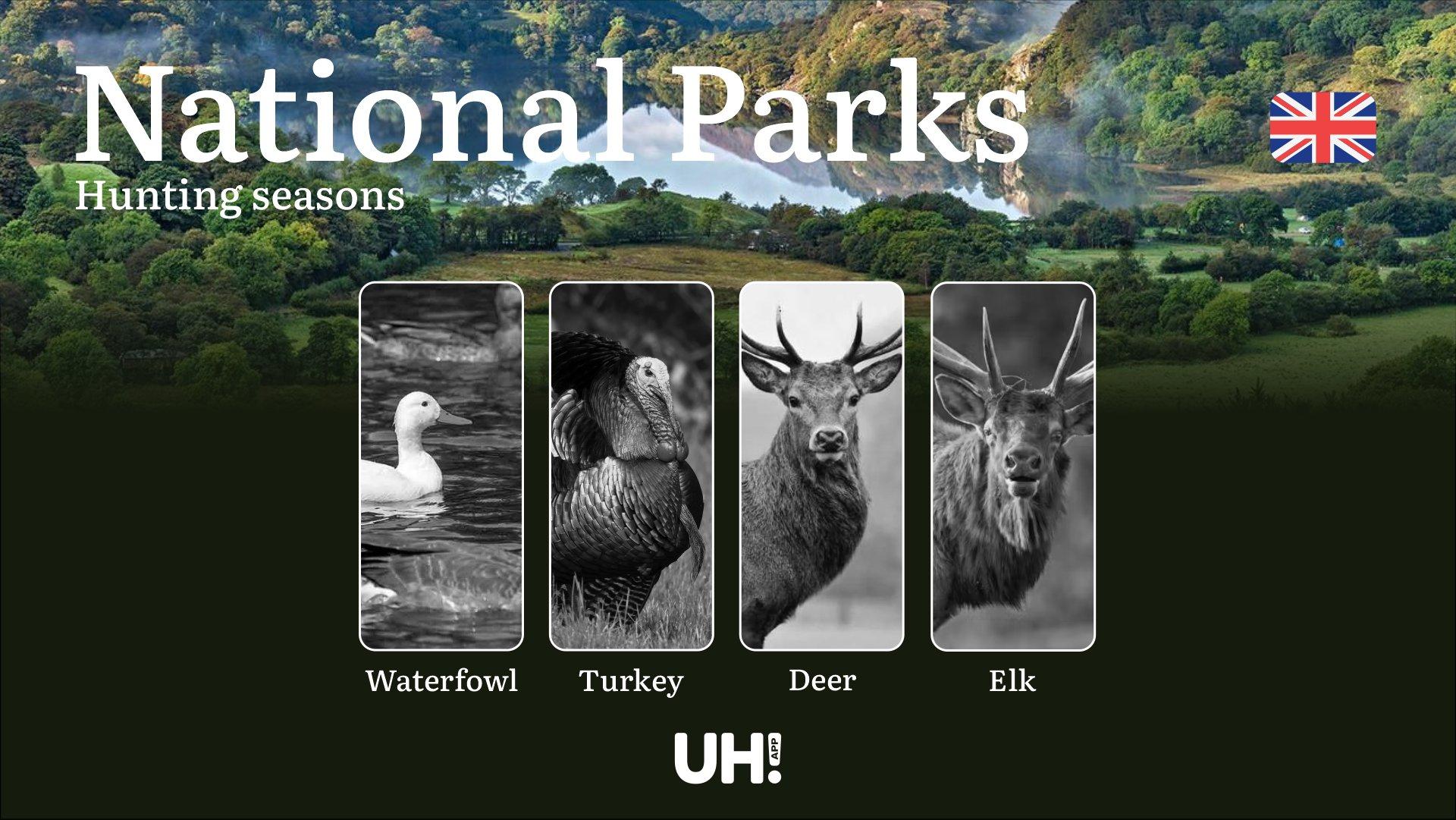 Hunting Seasons in National Parks: Key Dates, License Requirements, and Game Movement Patterns