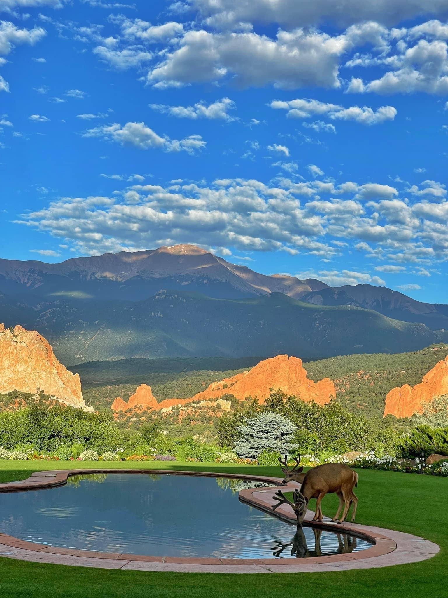 Beautiful Colorado in the summertime