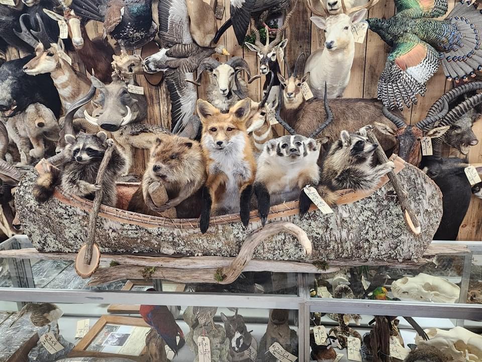 A few shots around the auction  gallery as we continue to get things ready for our spring auction in Maquoketa Iowa March 14-16
