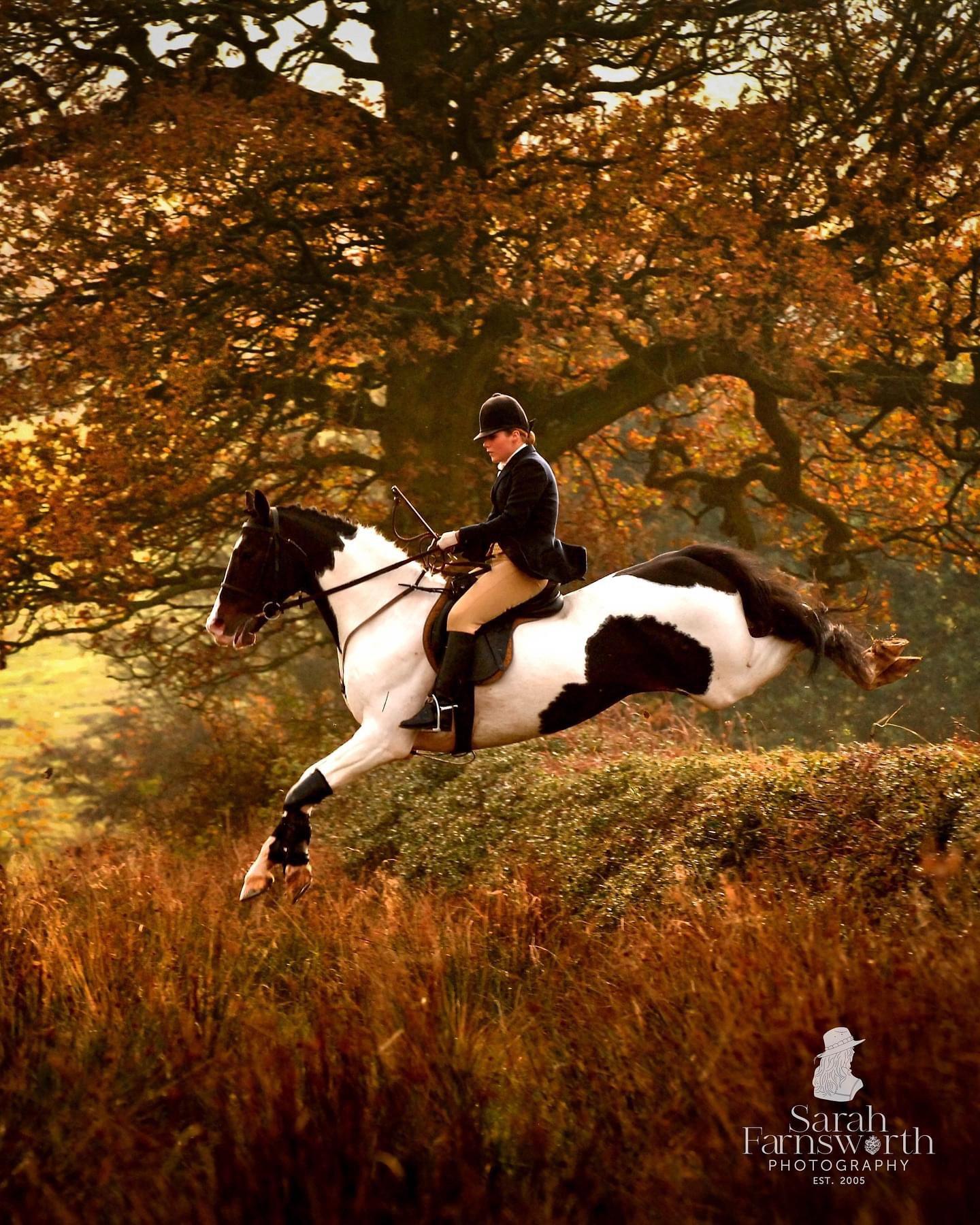 An archive favourite to share at this time of year, photographed way back in 2009 when I was only just getting to grips with being a full time professional photographer.