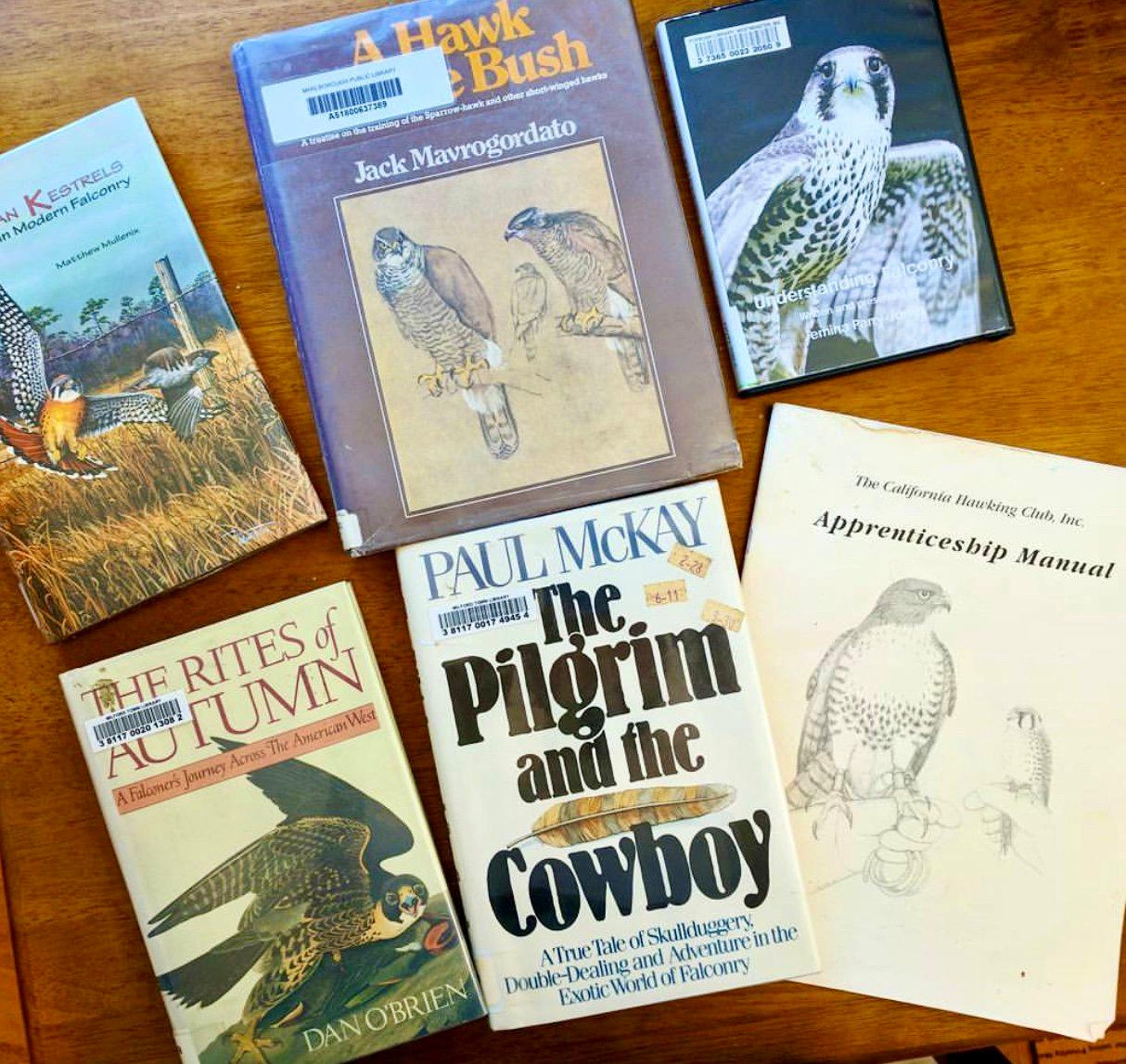 Falconry Books and Documentaries — Essential Reads, History, and Must-Watch Films for Hunters and Falconers