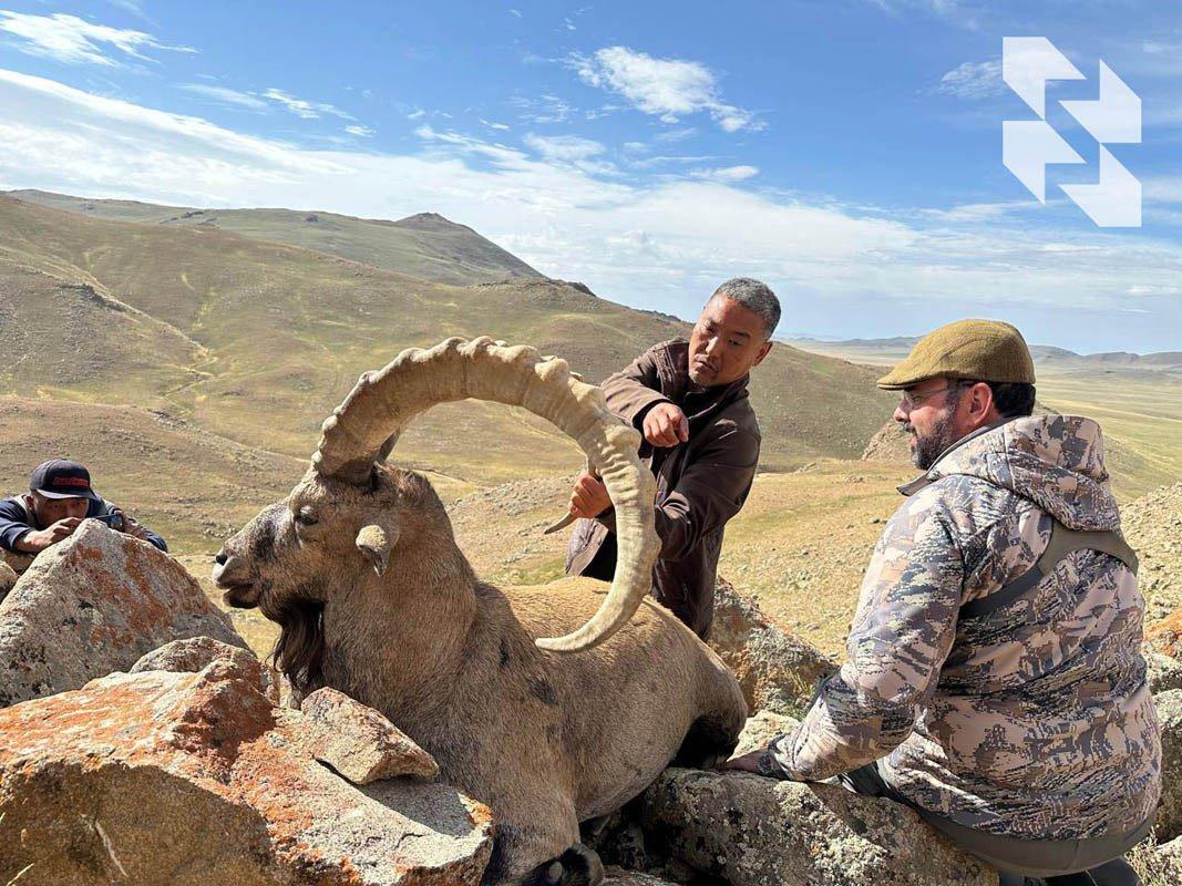 🇲🇳 Nastavljamo skupljati fantastične trofeje u Mongoliji 🫎
