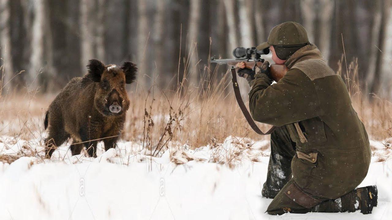 Boar hunting is quite exciting.