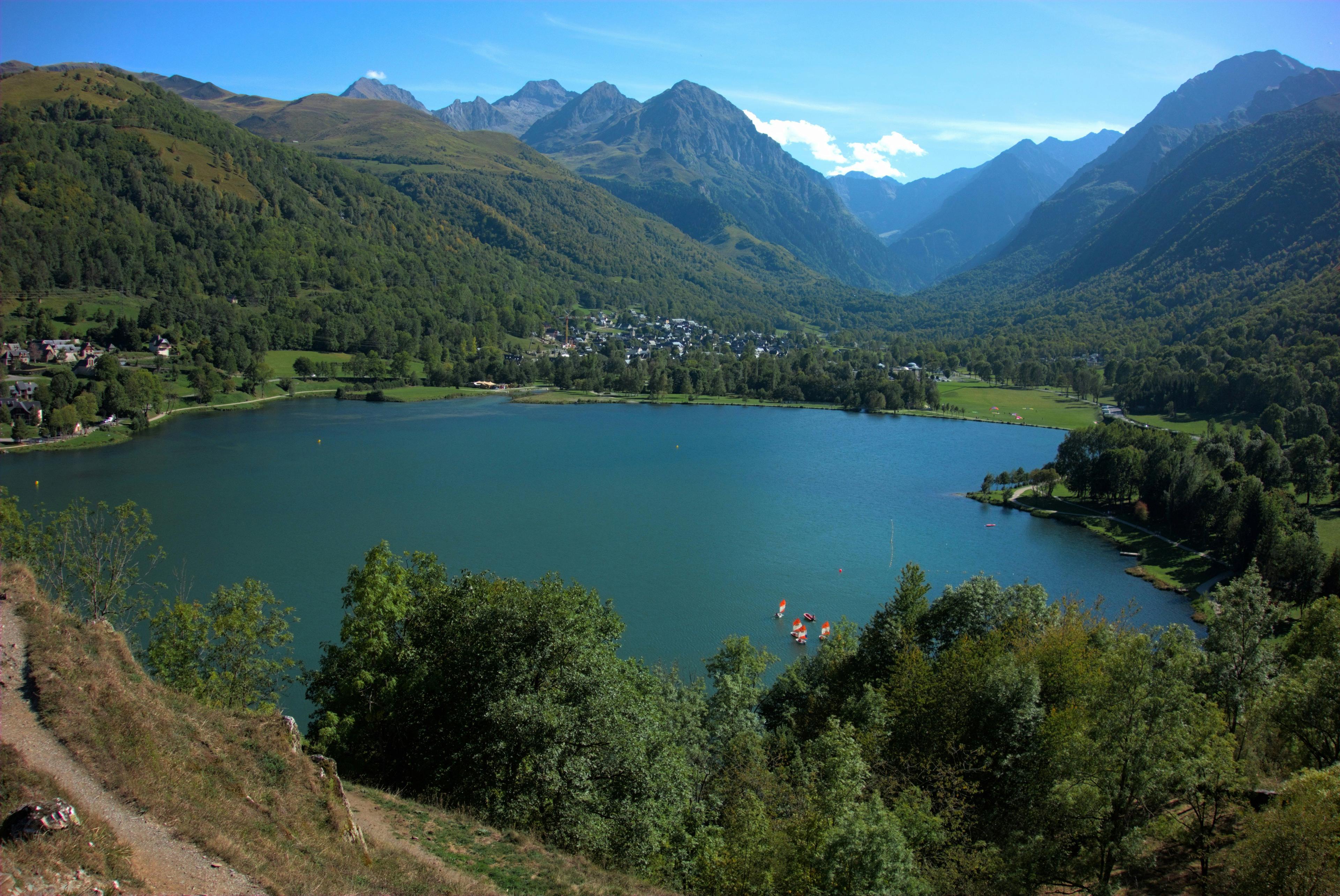 L’Univers de la Chasse en AUVERGNE: Nature préservée, démographie cynégétique, saisons de chasse et traditions locales
