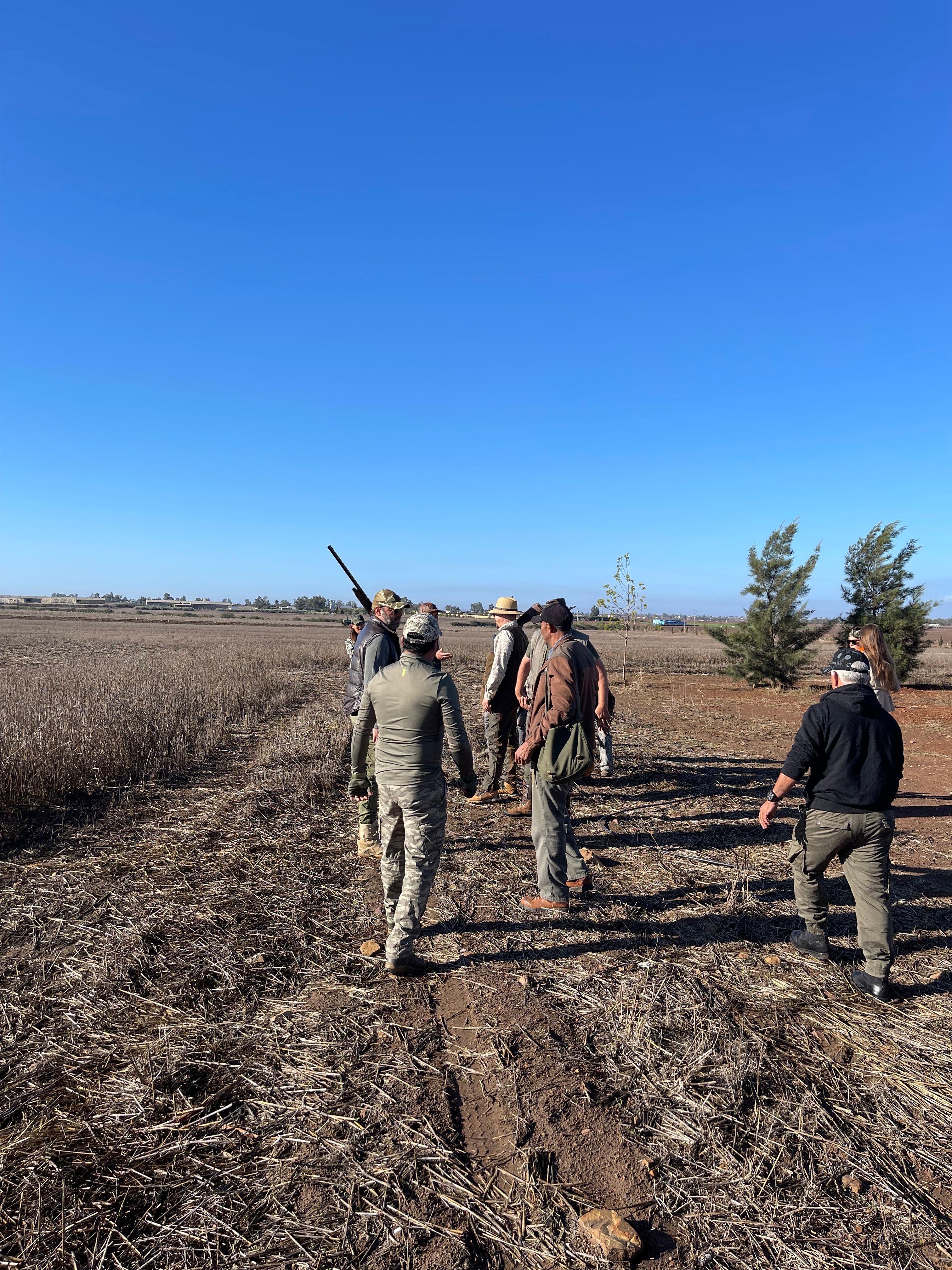 Woodcock Hunting in Morocco: A Comprehensive Guide for Bird Hunters 🪶