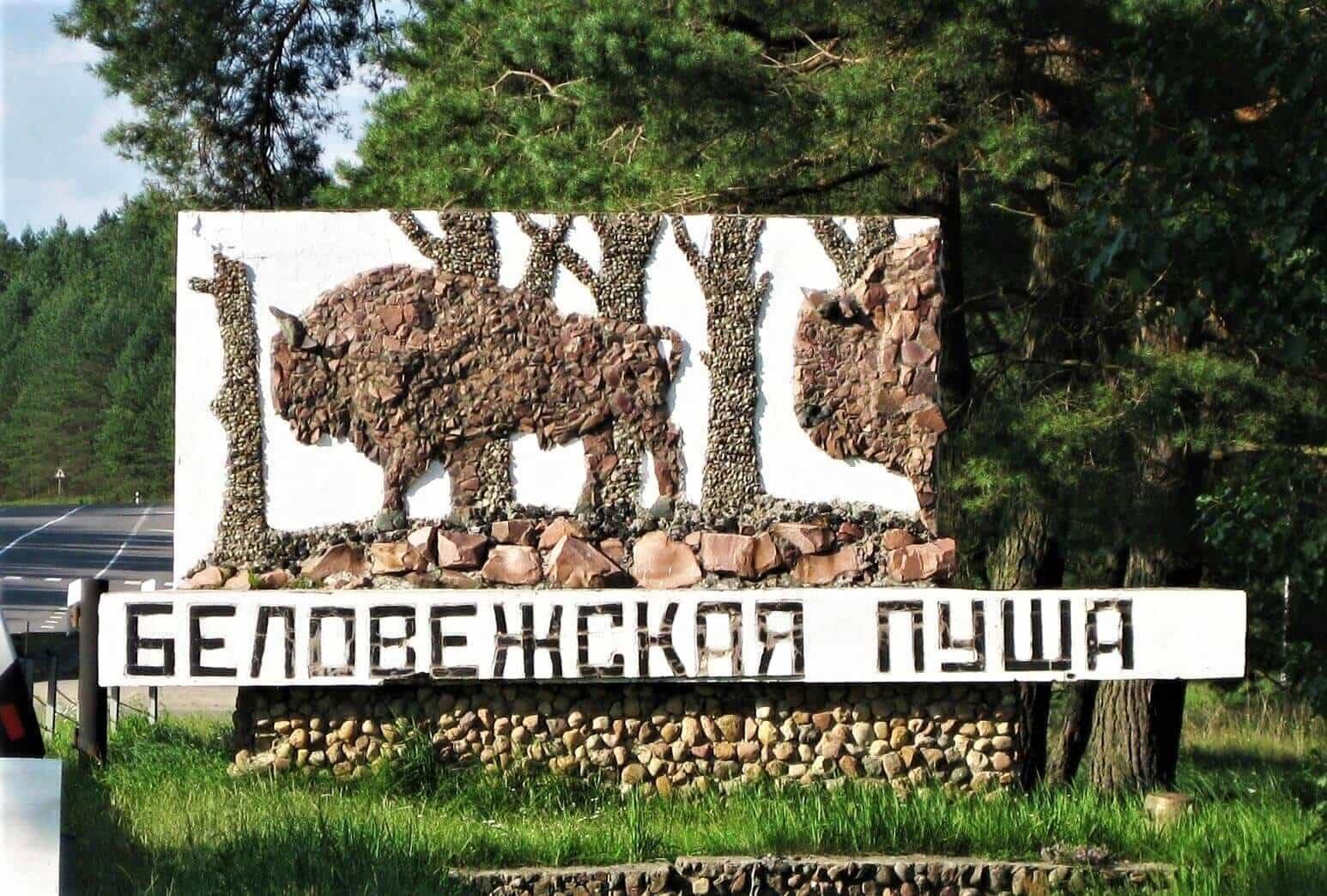 Охота в Беларуси - это прекрасное занятие, которое пользуется большой популярностью у населения.