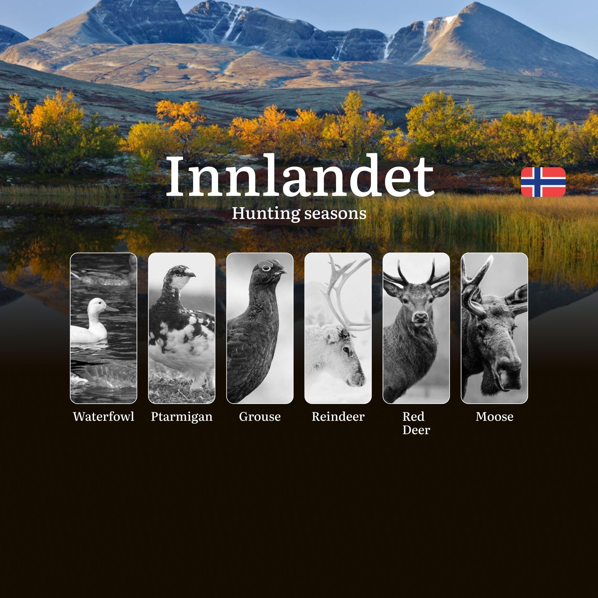 Hunting Seasons in Innlandet: Regulations, Permits, and Time for Hunting, Documents and Organizations
