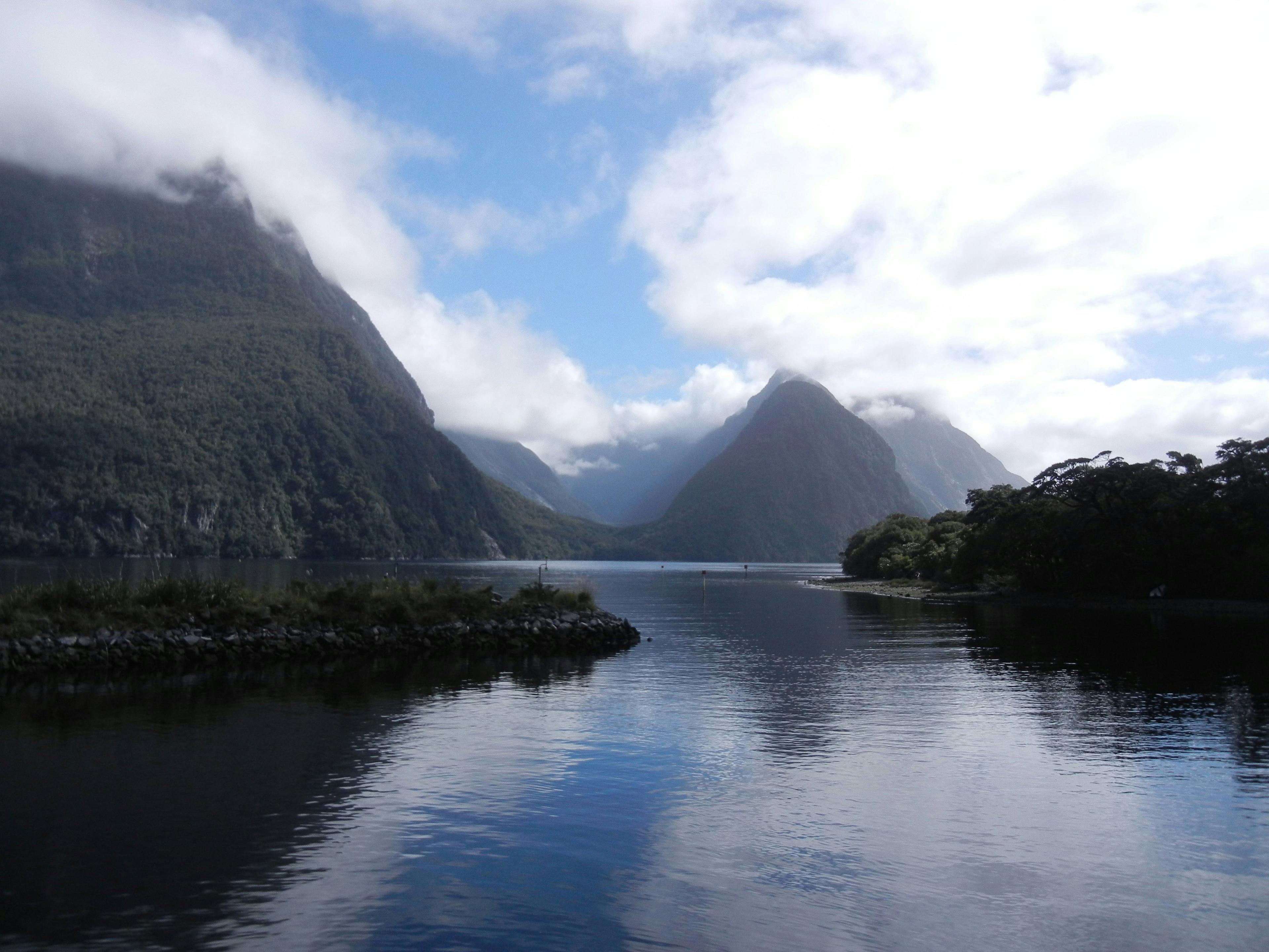Taranaki hunting spots you can’t miss: types of hunting and animals, laws and regulations in the region, season, hunting season, associations and clubs