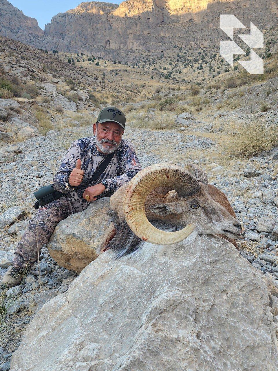 The best achievements of hunters in the 2024 season
