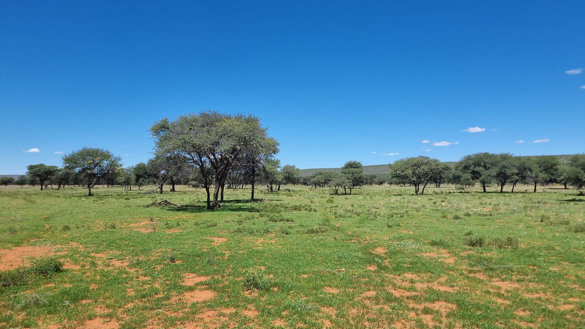 Checking some areas in the mountains for Leopard Tracks.
