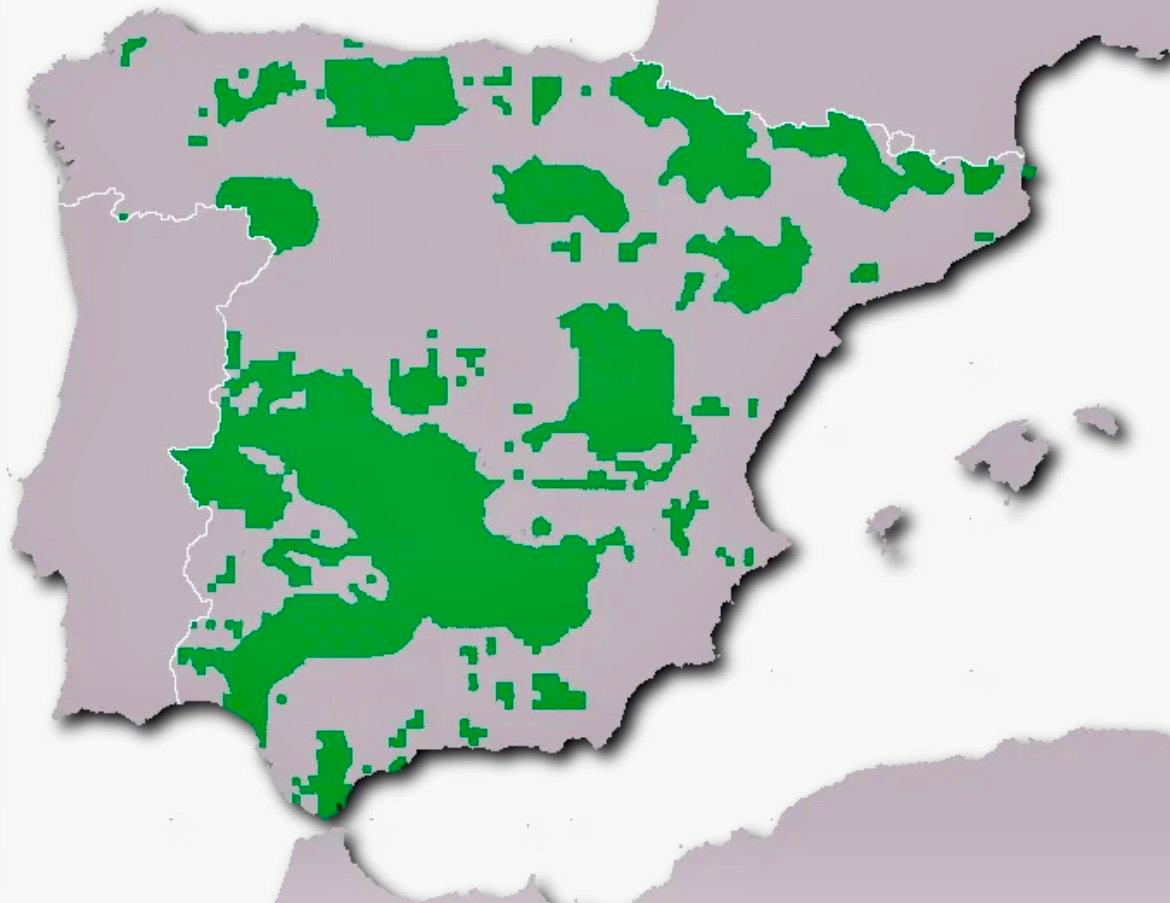 El Ciervo.