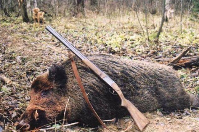 3 EASY WAYS TO MAKE ANY WILD HOG DELICIOUS