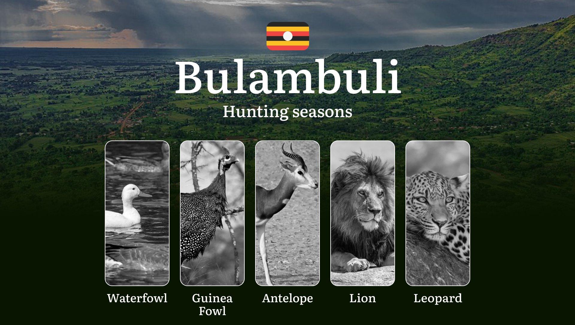 Permitted Hunting Intervals in Bulambuli: Year-Round Huntable Wildlife, Seasonal Migration of Game, and the Process for Securing a Legal Hunting Permit