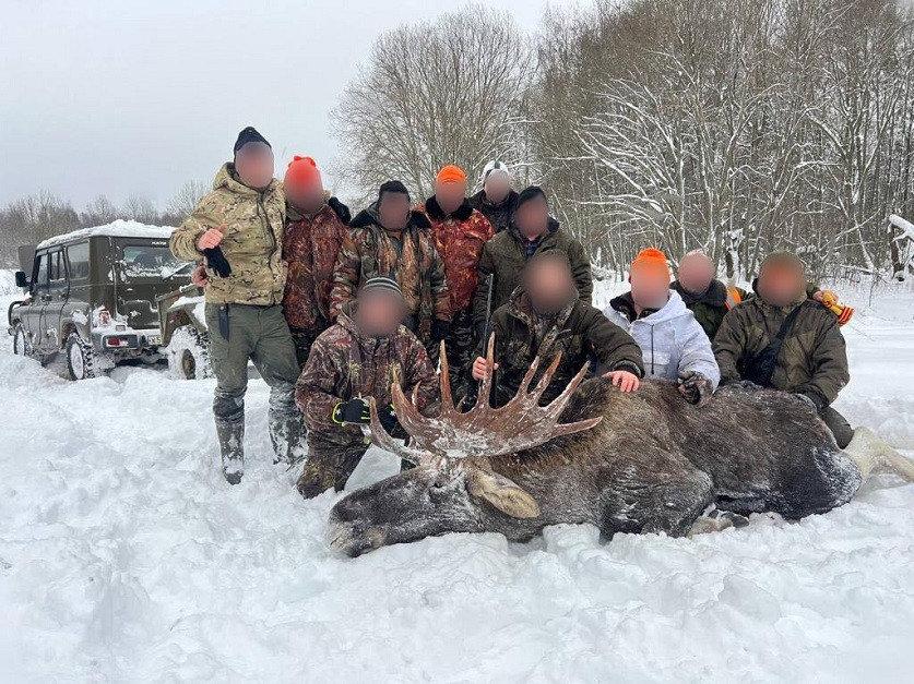 Охотились с вертолета, убили медведя выстрелом в голову.