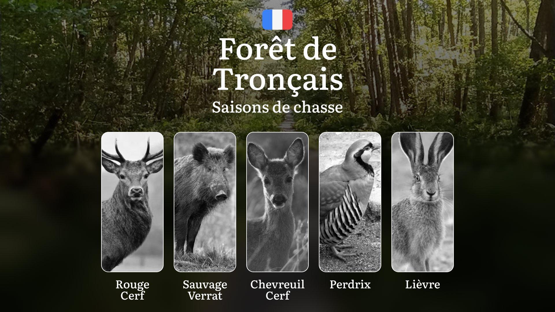 Saisons de chasse en FORÊT DE TRONÇAIS: Dates clés, Réglementation en vigueur, Types de gibier, Restrictions strictes et Conseils pratiques