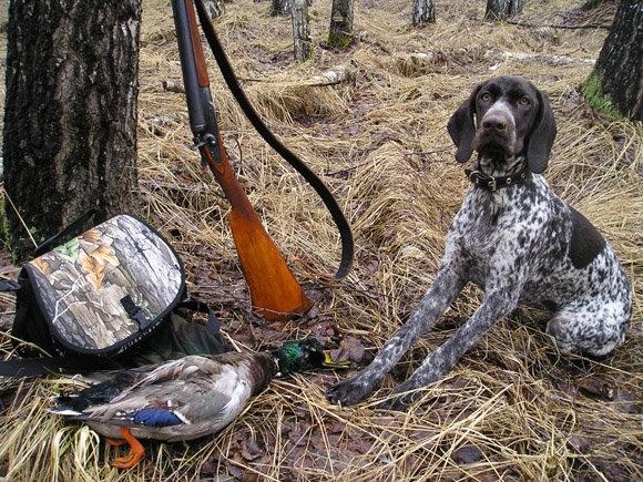 Duck hunt