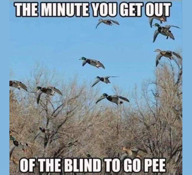hose honkers always come at an awkward time!
