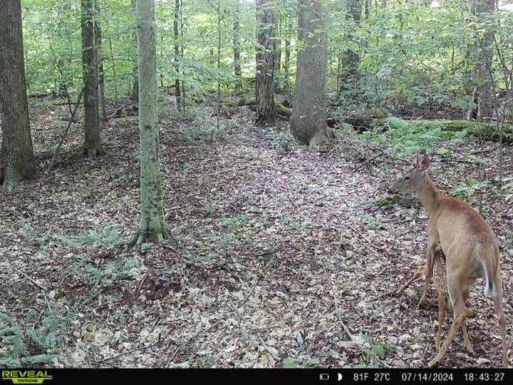 Somebody’s hungry.