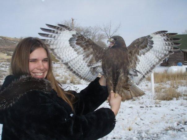 Hunting with Hawks