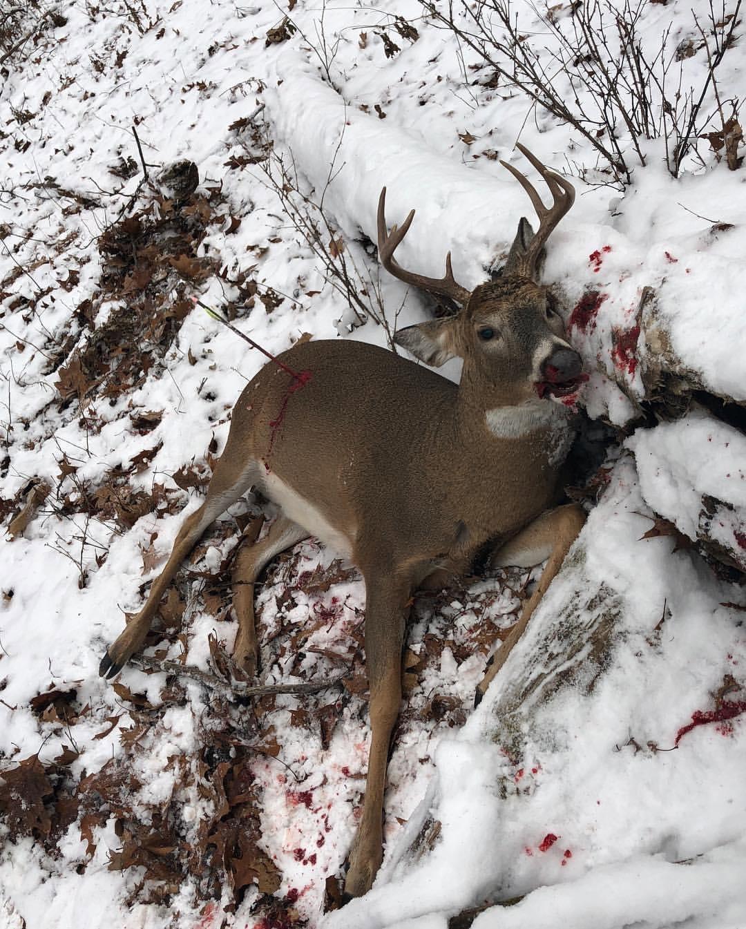 Winter deer hunting is not only a test of your skills, but also a commitment to the reverence and conservation of nature.