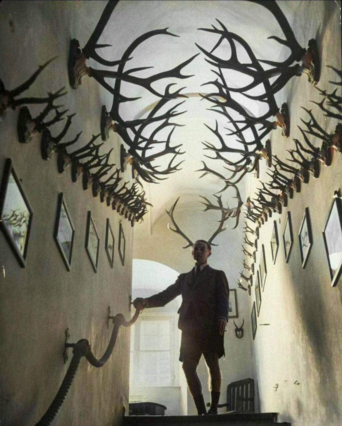 Prince Franz Joseph II of Liechtenstein surrounded by his hunting trophies.