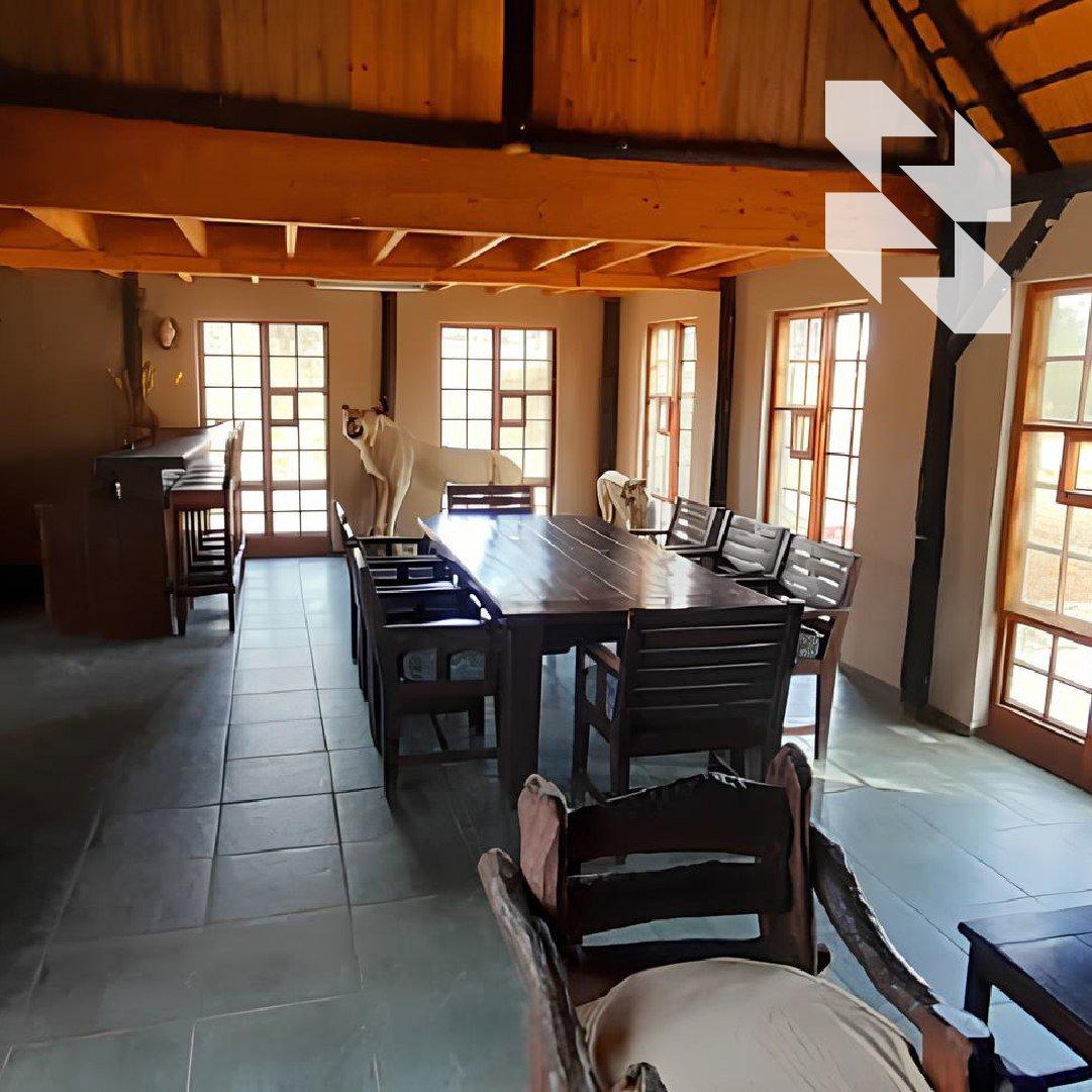 🐆 Boja raspoloženja - leopard!