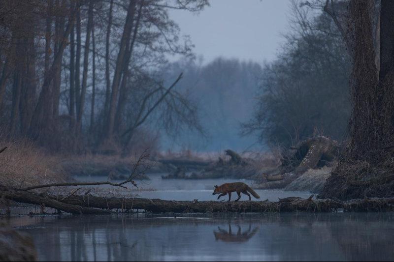 Before sunrise
