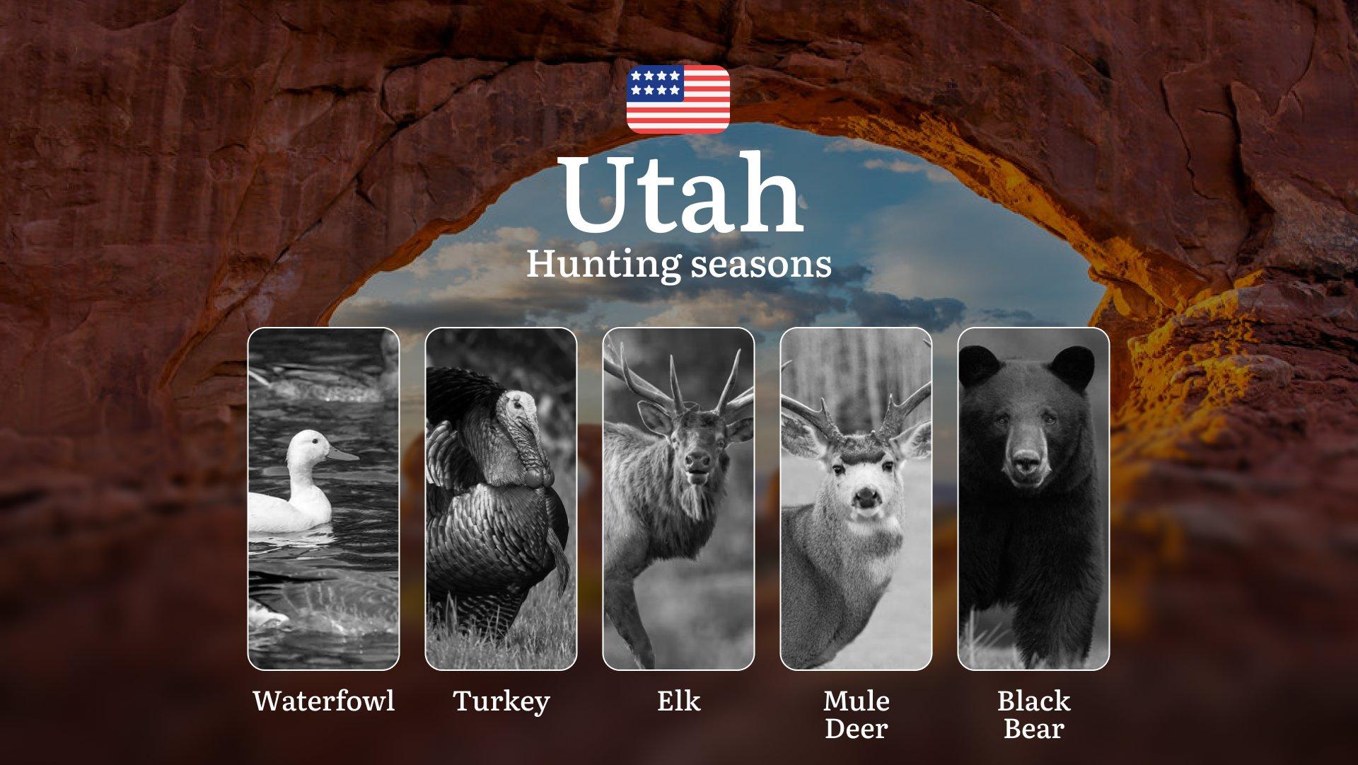 Seasons of Hunting in Utah: Laws, Dates, and Regional Features of region, Seasonal Patterns and Animal Activity, Documents, Clubs, and Limited Entry