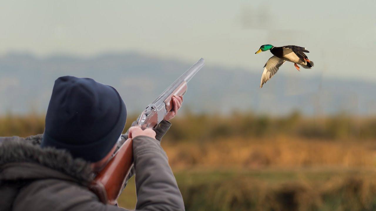 Сегодня с утра подстрелил утку, пойду ее готовить🦆