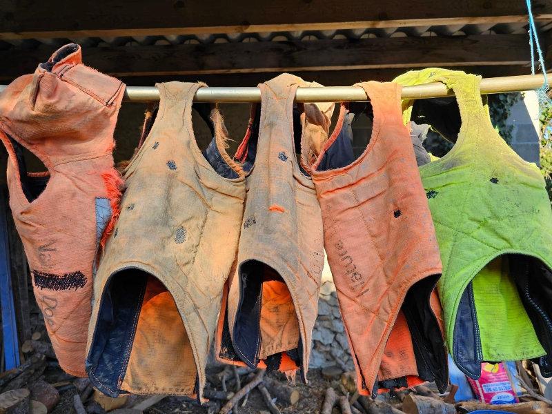 Les fameux gilets.....
