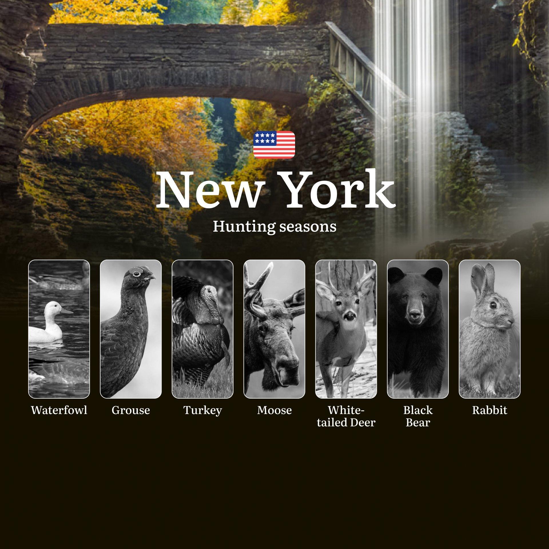 Seasons of Hunting in New York's Adirondacks: Hunting Periods, Licenses, Hunting Restrictions and Prohibited Species, Documents and Support from Clubs