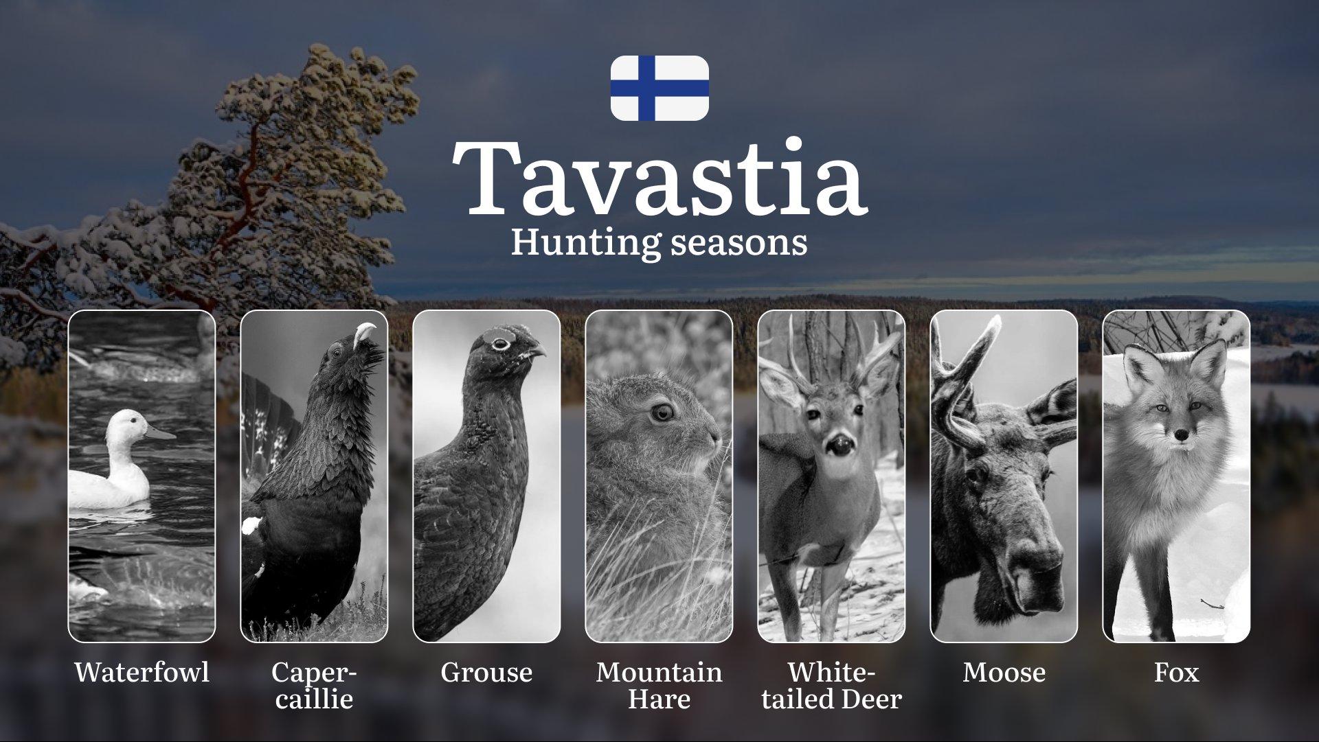 Hunting Seasons in TAVASTIA (HÄME): Opening and Closing Dates, Protected Species, Required Licenses and General Hunting Rules