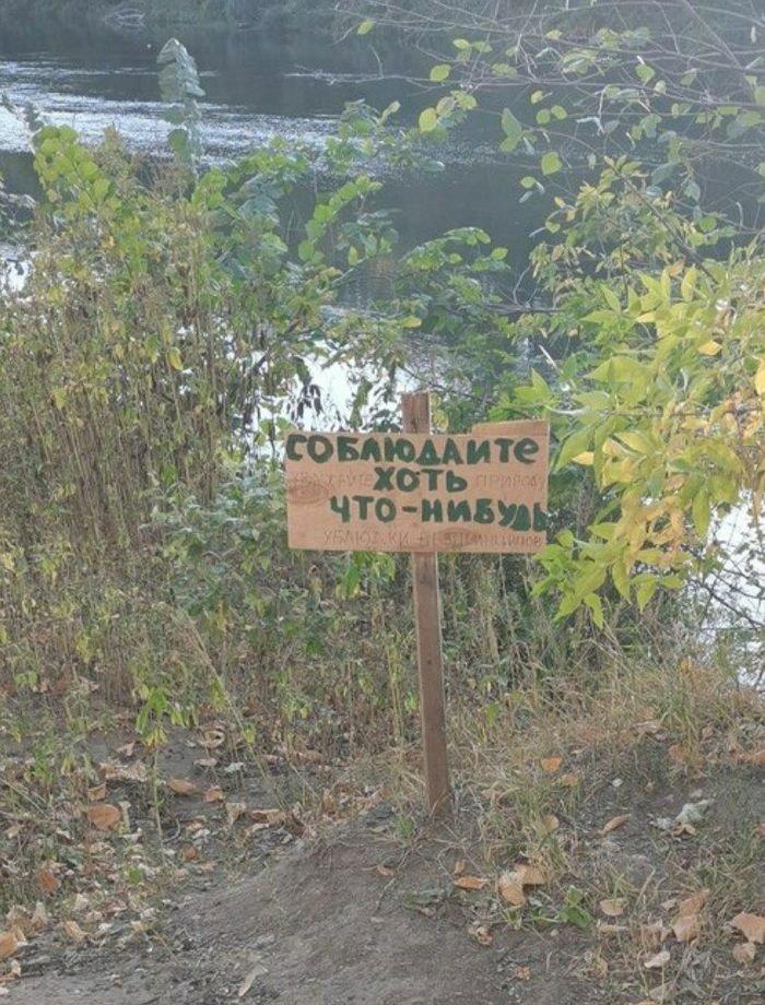 Сегодня решила прогуляться по лесу и наткнулась на крутые таблички с надписями!