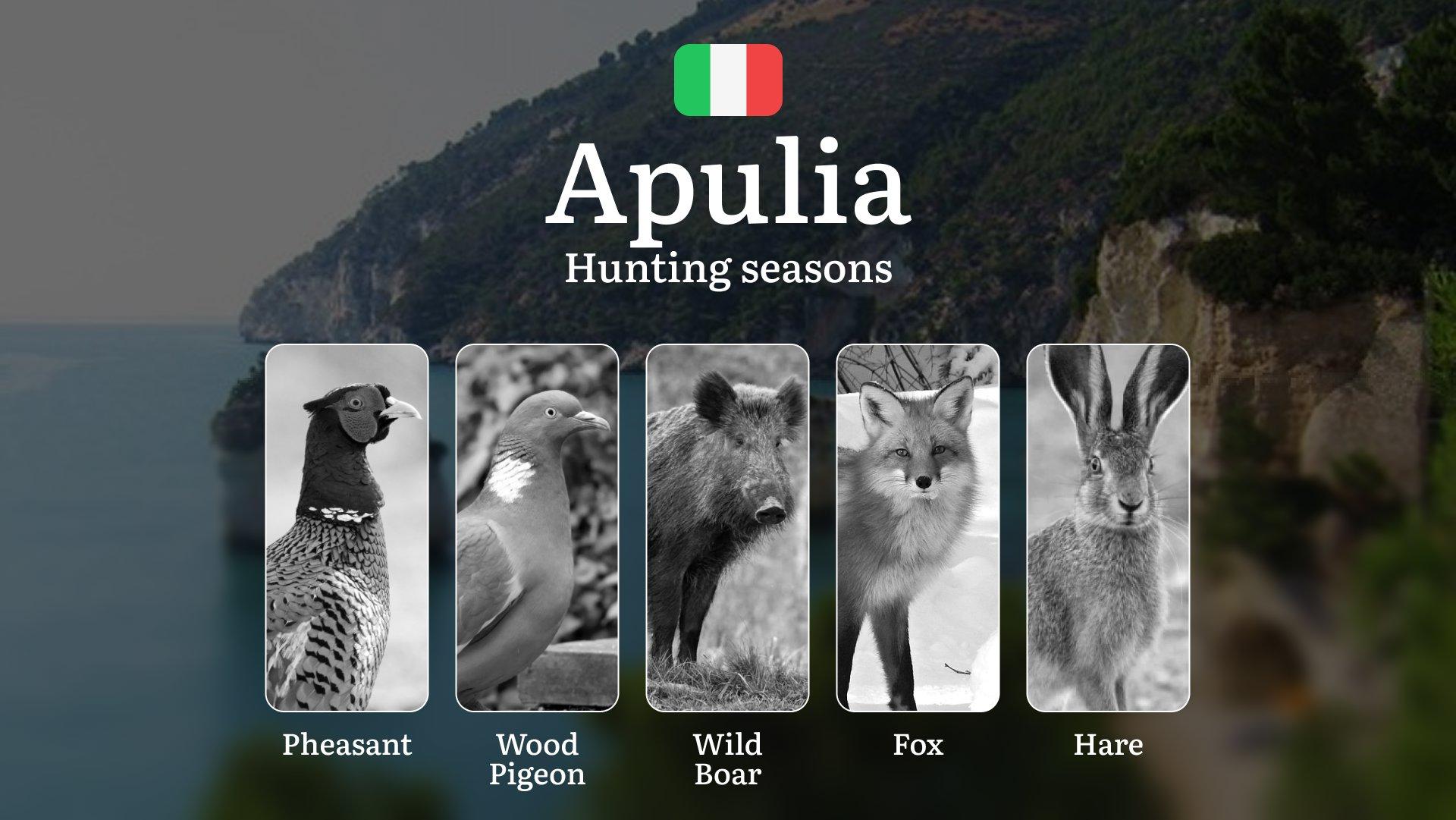 Hunting in Apulia: Calendar, Permits and Strategies for a Successful Season