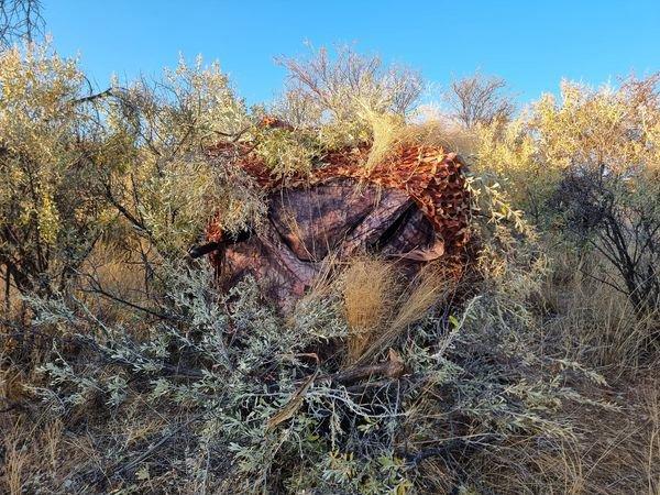 Cancelation Leopard Hunt mid September to November in Namibia !!!