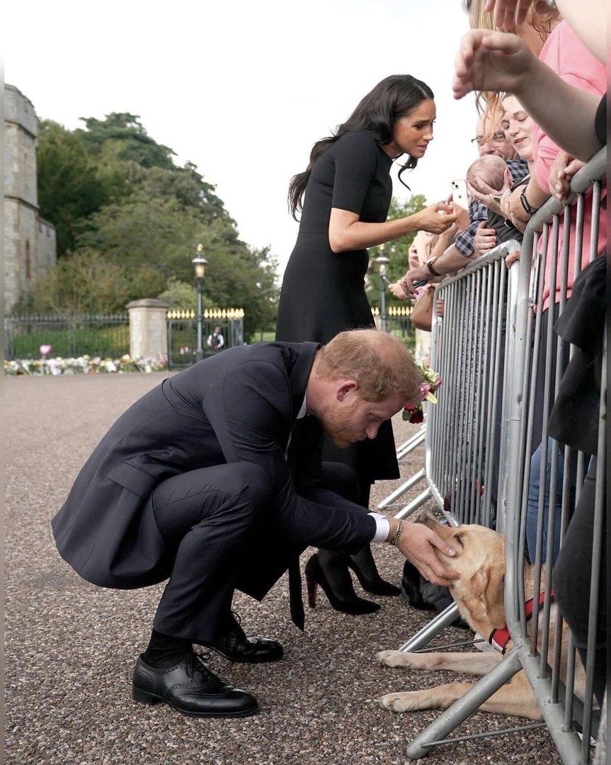 Prince 🤴