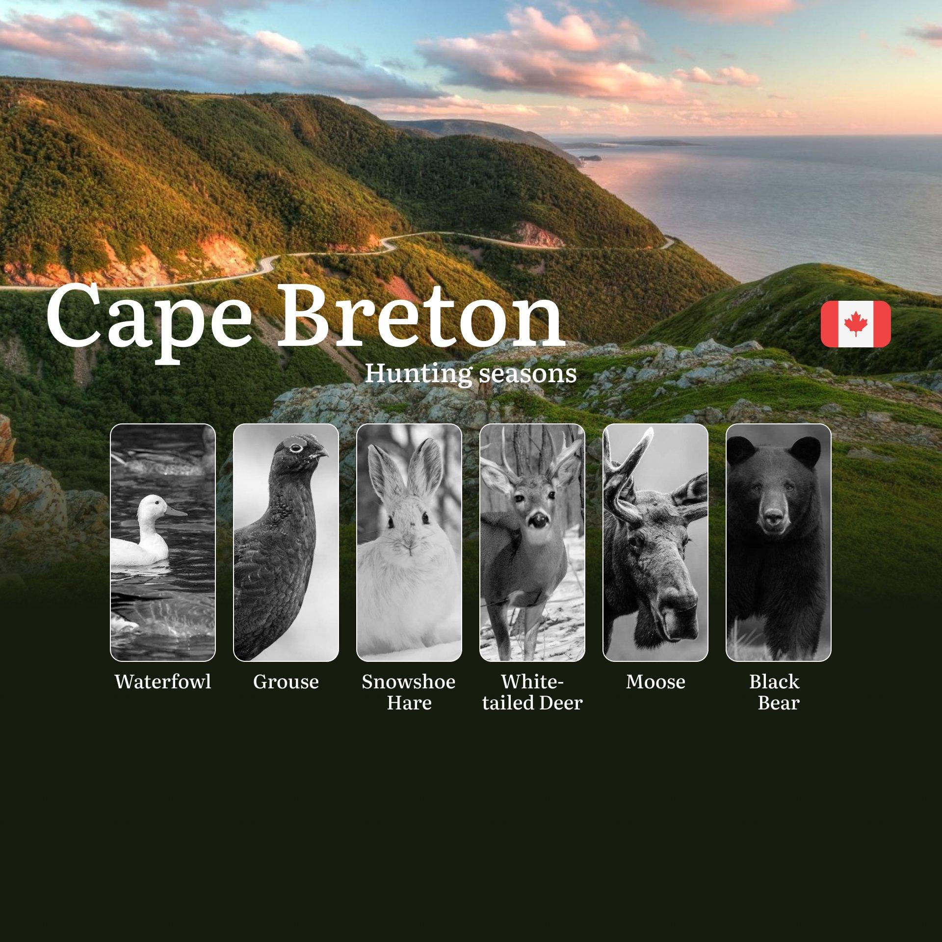 Hunting Seasons in CAPE BRETON: Key Opening and Closing Dates, Required Licenses and Essential Rules