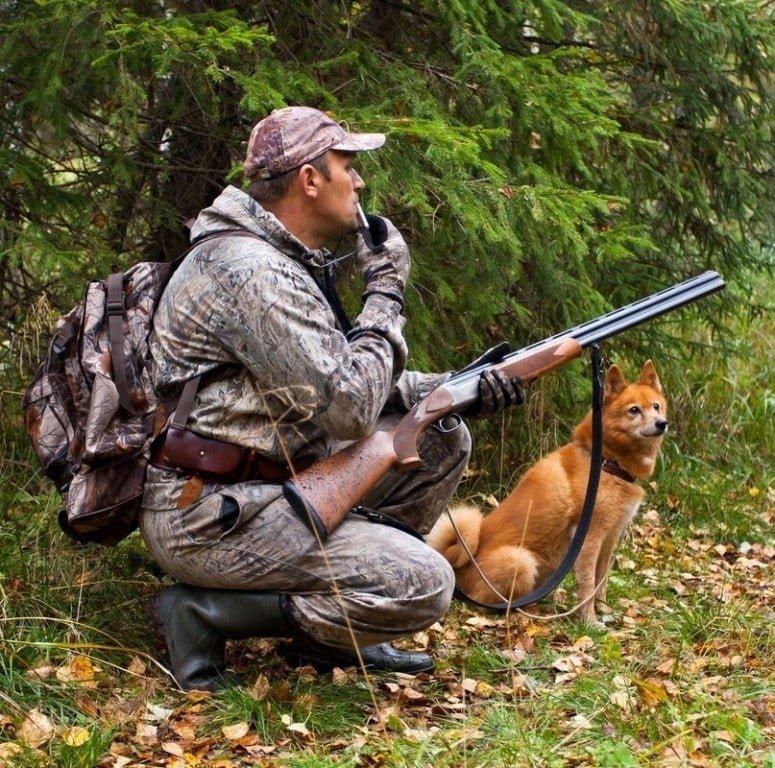 Hunting is an exciting outdoor activity that requires skill, patience, and knowledge.