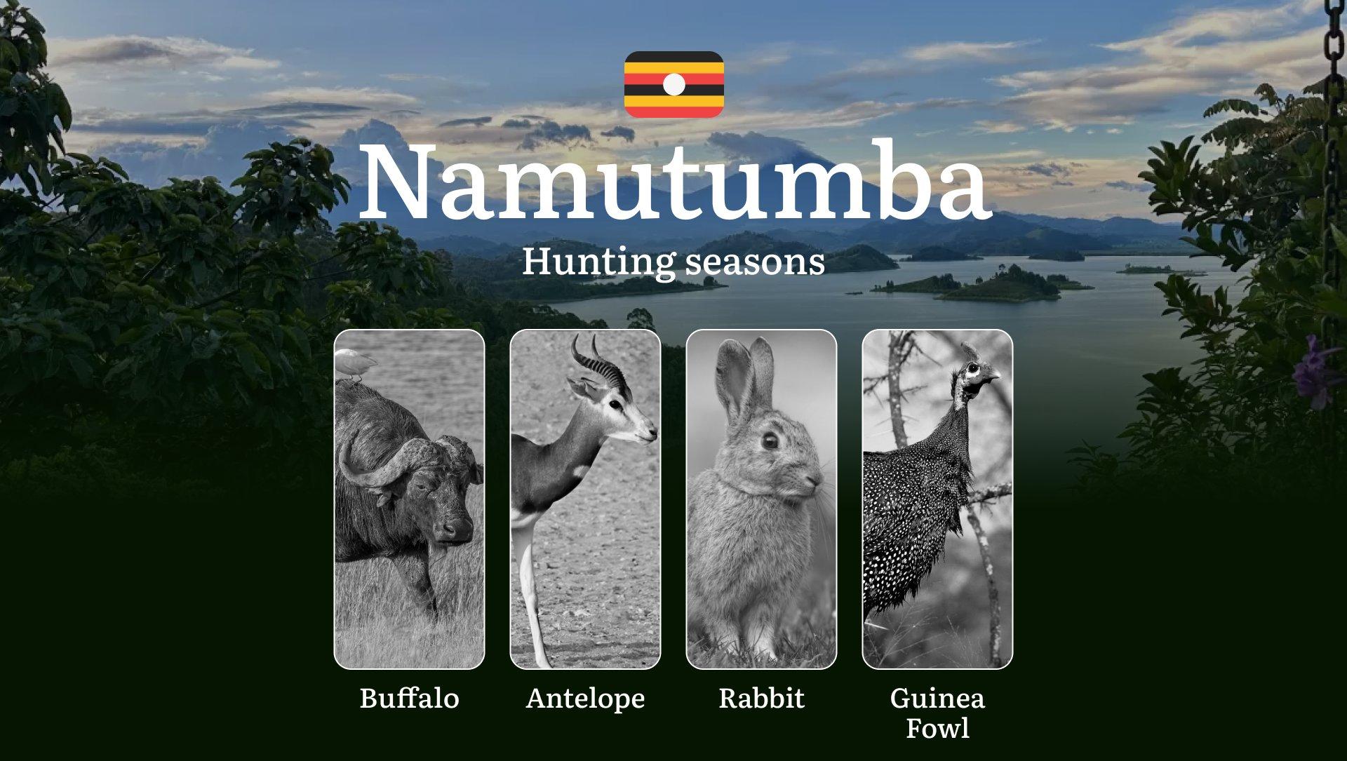 Seasonal Hunting Periods in Namutumba: Limits and Seasonal Prohibitions, Licensing Conditions, Fines and Legal Effects of Non-Compliance, Strategic Preparation, Best Hunting Times, Gear Choices 