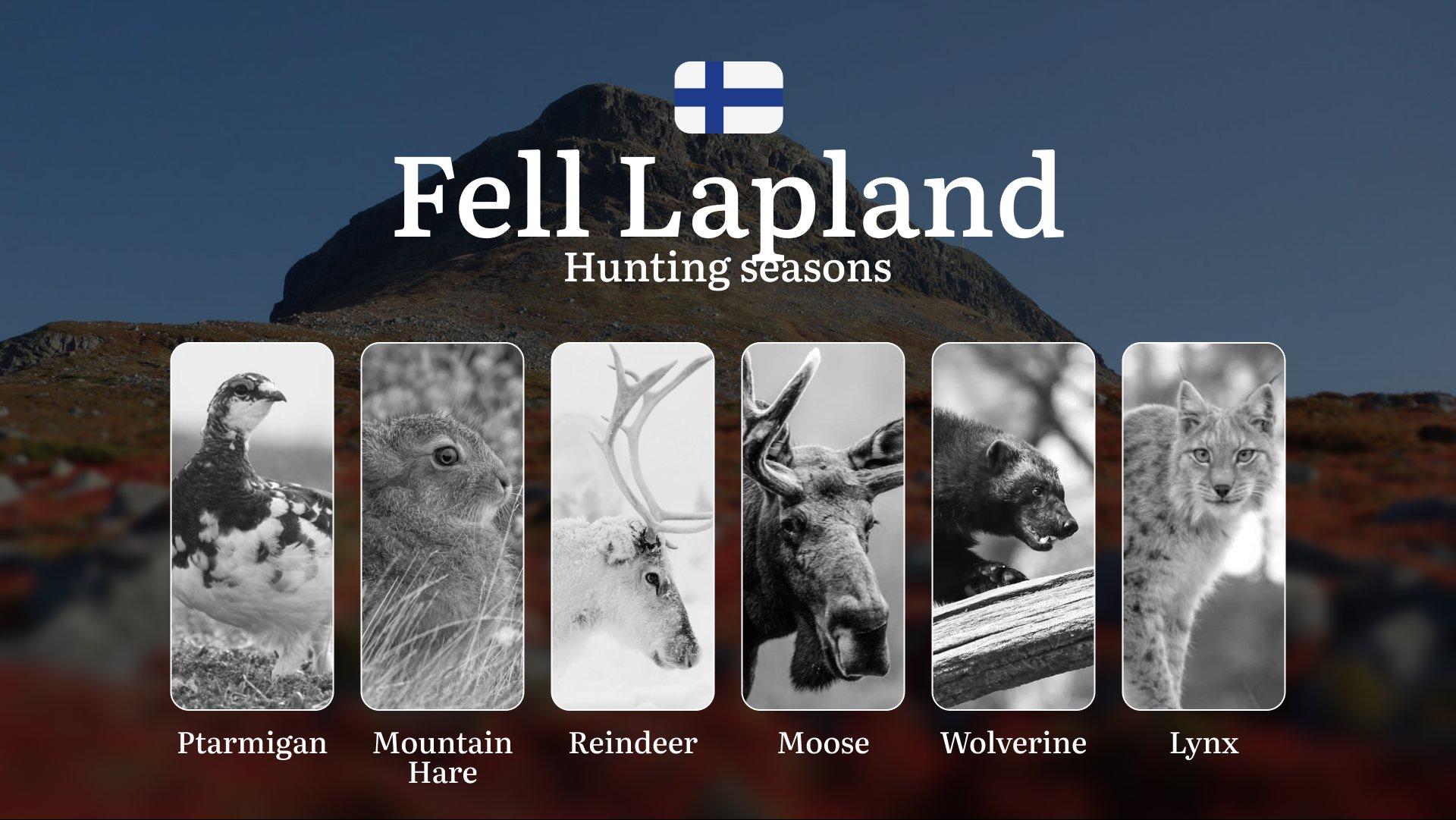 Hunting Seasons in FELL LAPLAND: Required Documents, Restrictions, General Rules, Penalties for Violating Regulations and Optimal Hunting Periods